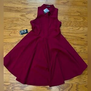 NWT Express Dress